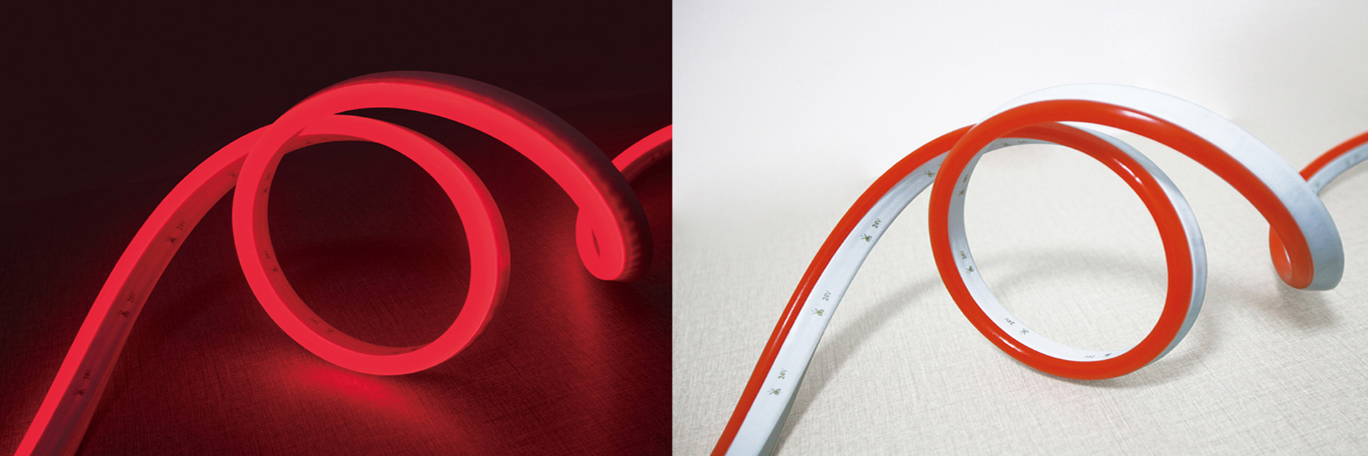 Qualität IP68 LED Neon Flex usine