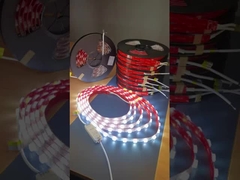 Wasserdicht 24V Außenlicht mit Led-Linsen-Streifenleuchte SMD2835 Transparent Led-Streifen